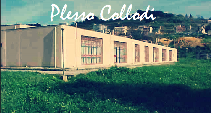 PLESSO COLLODI